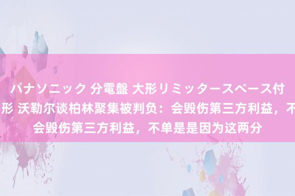 パナソニック 分電盤 大形リミッタースペース付 露出・半埋込両用形 沃勒尔谈柏林聚集被判负：会毁伤第三方利益，不单是是因为这两分