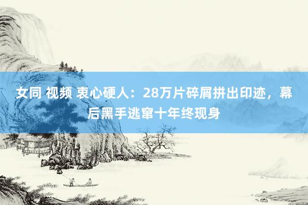 女同 视频 衷心硬人：28万片碎屑拼出印迹，幕后黑手逃窜十年终现身