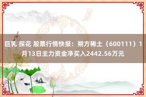 巨乳 探花 股票行情快报：朔方稀土（600111）1月13日主力资金净买入2442.56万元