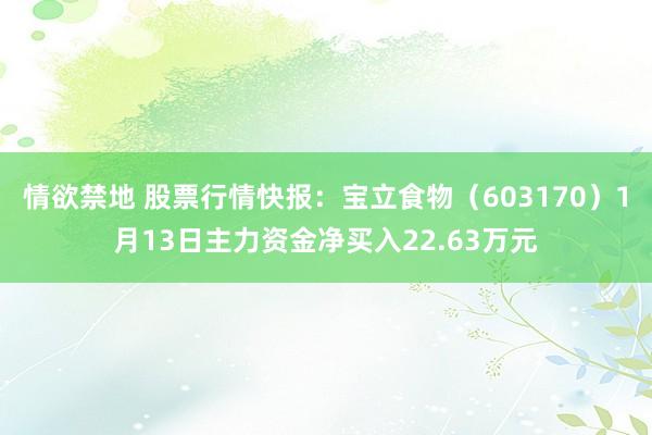 情欲禁地 股票行情快报：宝立食物（603170）1月13日主力资金净买入22.63万元