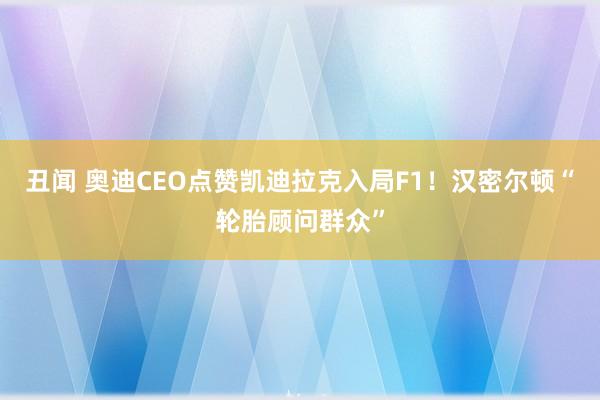 丑闻 奥迪CEO点赞凯迪拉克入局F1！汉密尔顿“轮胎顾问群众”