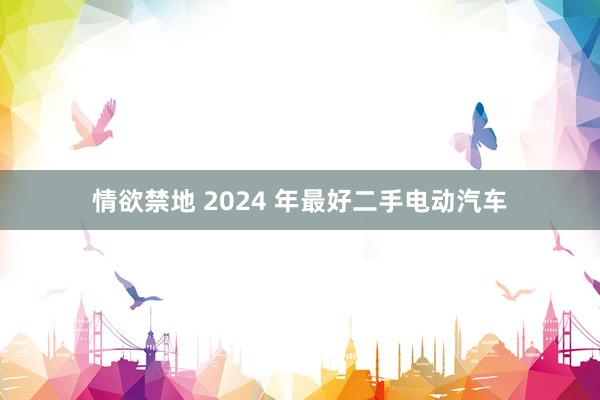 情欲禁地 2024 年最好二手电动汽车