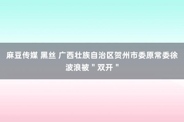 麻豆传媒 黑丝 广西壮族自治区贺州市委原常委徐波浪被＂双开＂