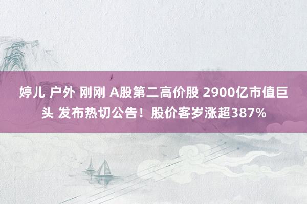 婷儿 户外 刚刚 A股第二高价股 2900亿市值巨头 发布热切公告！股价客岁涨超387%