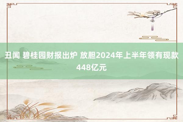 丑闻 碧桂园财报出炉 放胆2024年上半年领有现款448亿元