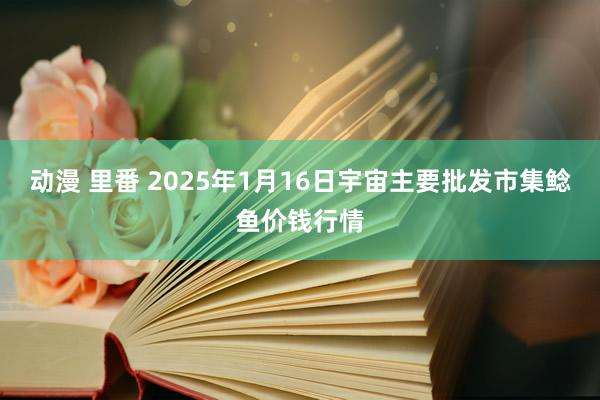 动漫 里番 2025年1月16日宇宙主要批发市集鲶鱼价钱行情