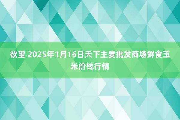 欲望 2025年1月16日天下主要批发商场鲜食玉米价钱行情