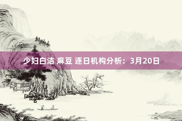 少妇白洁 麻豆 逐日机构分析：3月20日