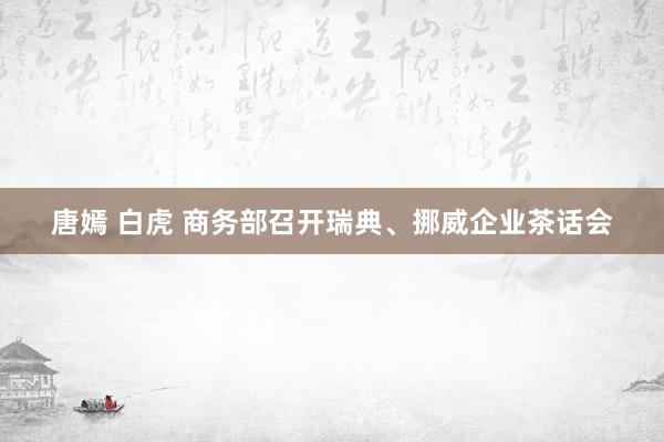 唐嫣 白虎 商务部召开瑞典、挪威企业茶话会